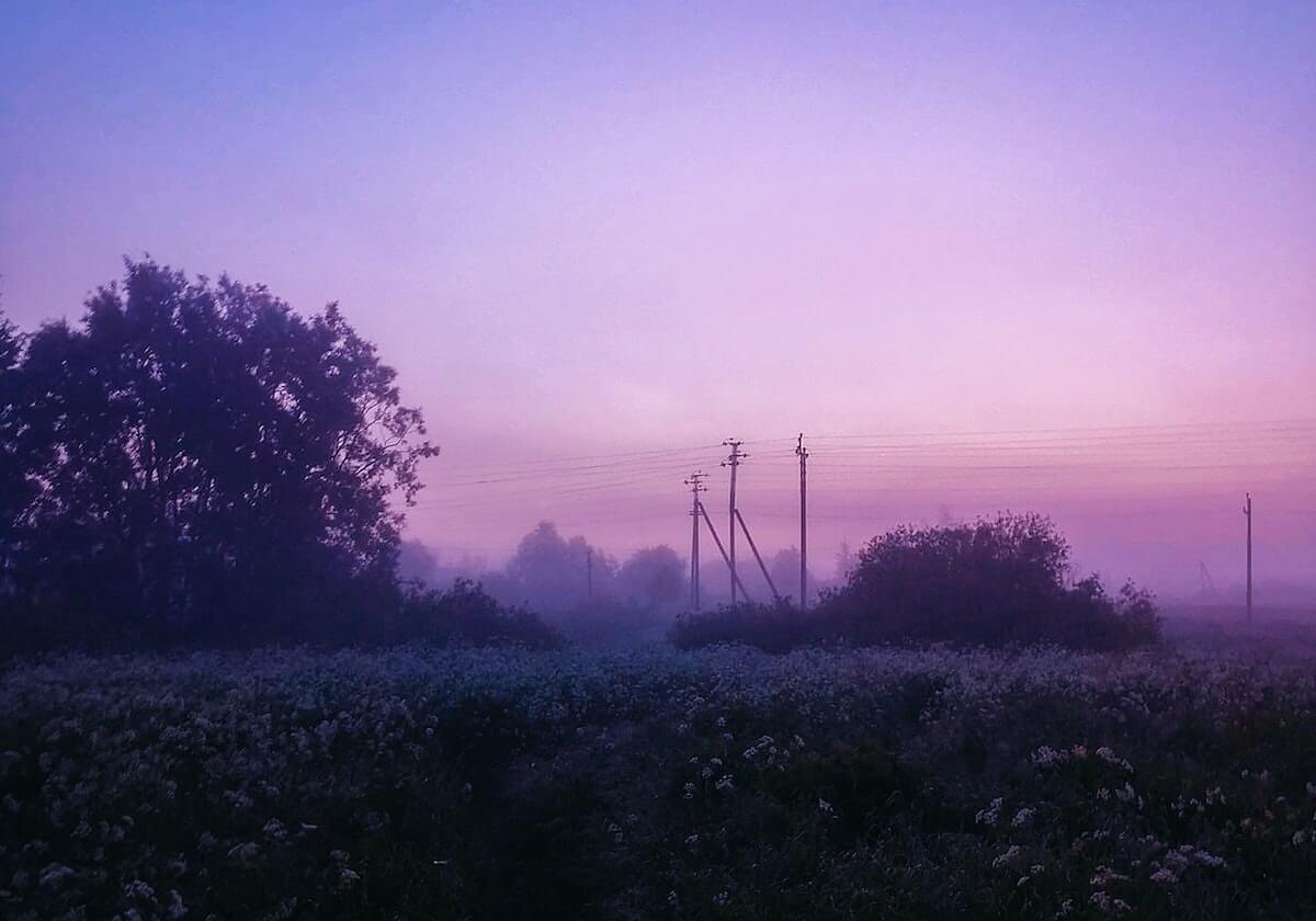 庐山香烟怎么选？哪款性价比高不踩坑？
